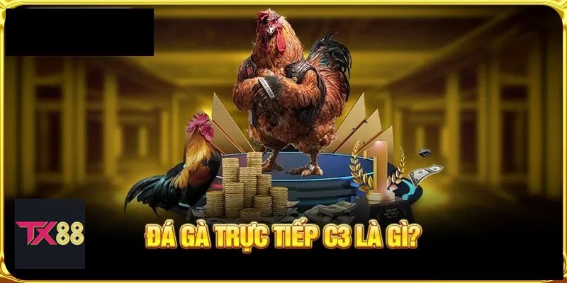 Đá Gà TX88 - Khái niệm đá gà trực tuyến tại TX88 Đá Gà TX88 - Khái niệm đá gà trực tuyến tại TX88